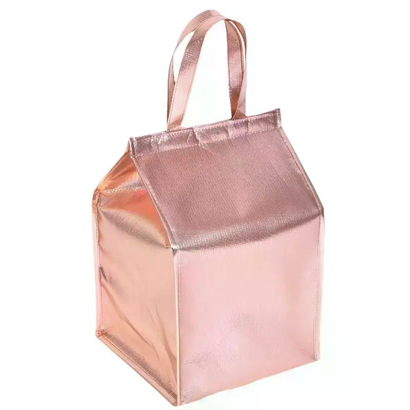 Food Storage Hiking - Tas Termal Berinsulasi yang Dapat Digunakan