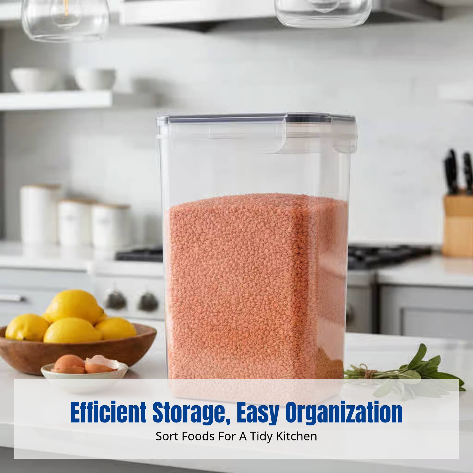 Set Wadah Penyimpanan Makanan  - Food Storage Plastic Container ulasan dan harga