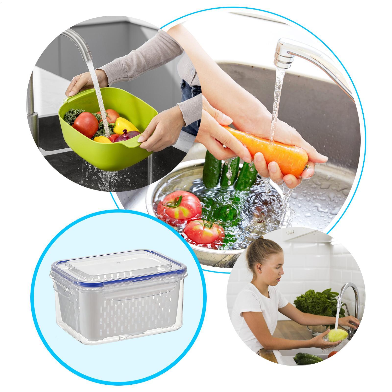 Wadah Penyimpanan Makanan 4 in - Food Storage Plastic Container ulasan dan harga